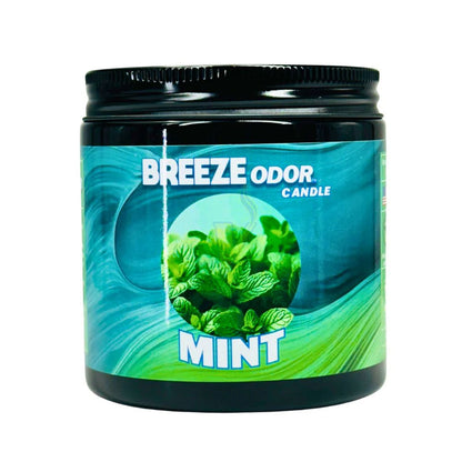 Breeze - 13oz Odor Candle