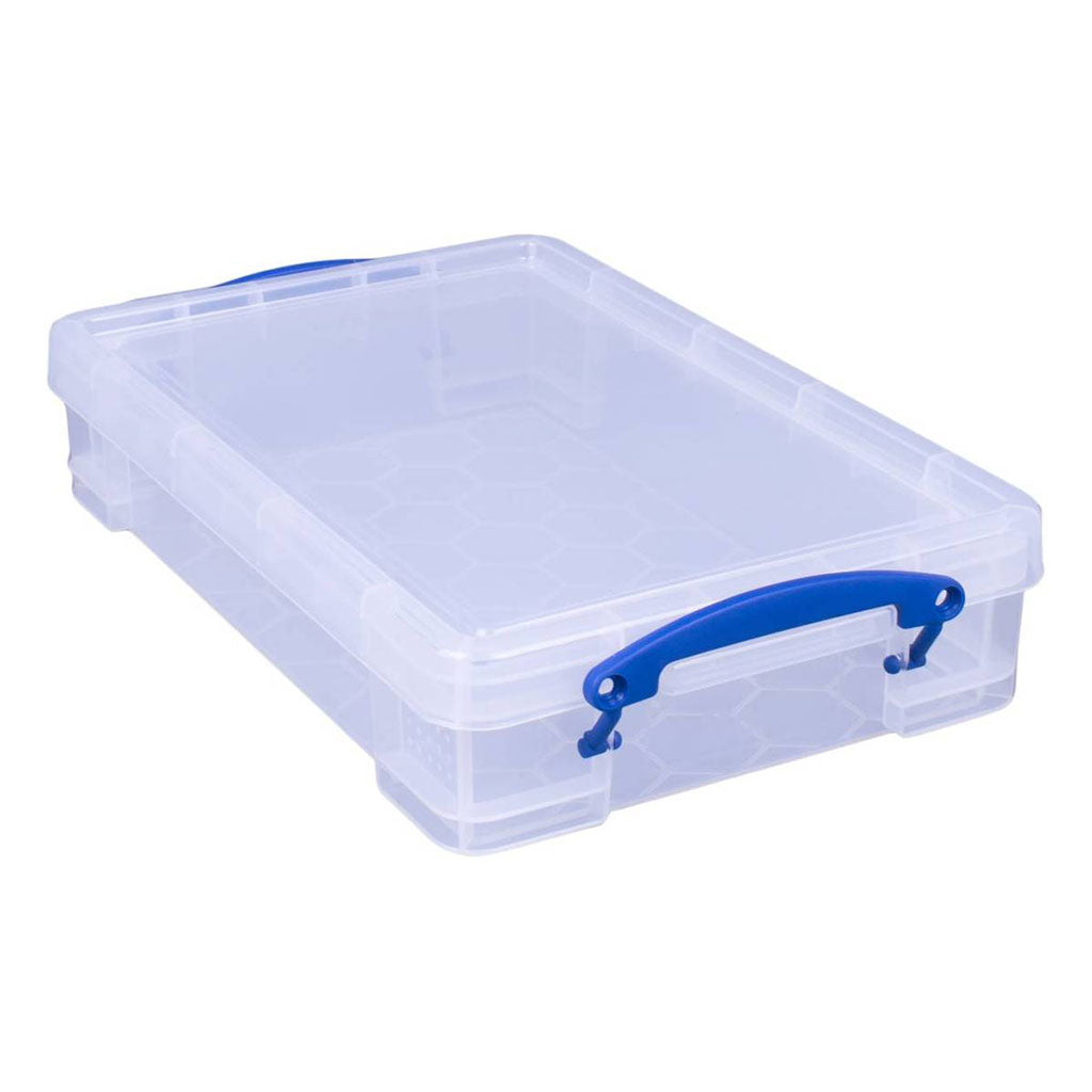 Storage 0.3 Litre Box (Clear)